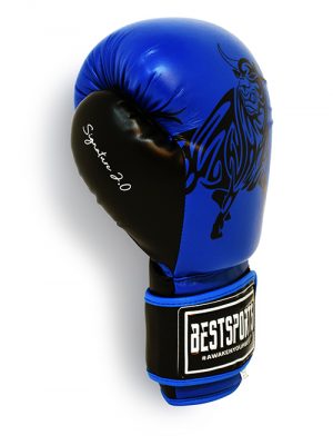 Signature 2.0 Boxing Gloves Blue