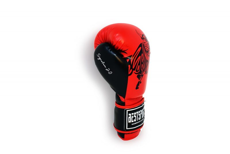 Louis Vuitton Boxing Gloves Printing Press